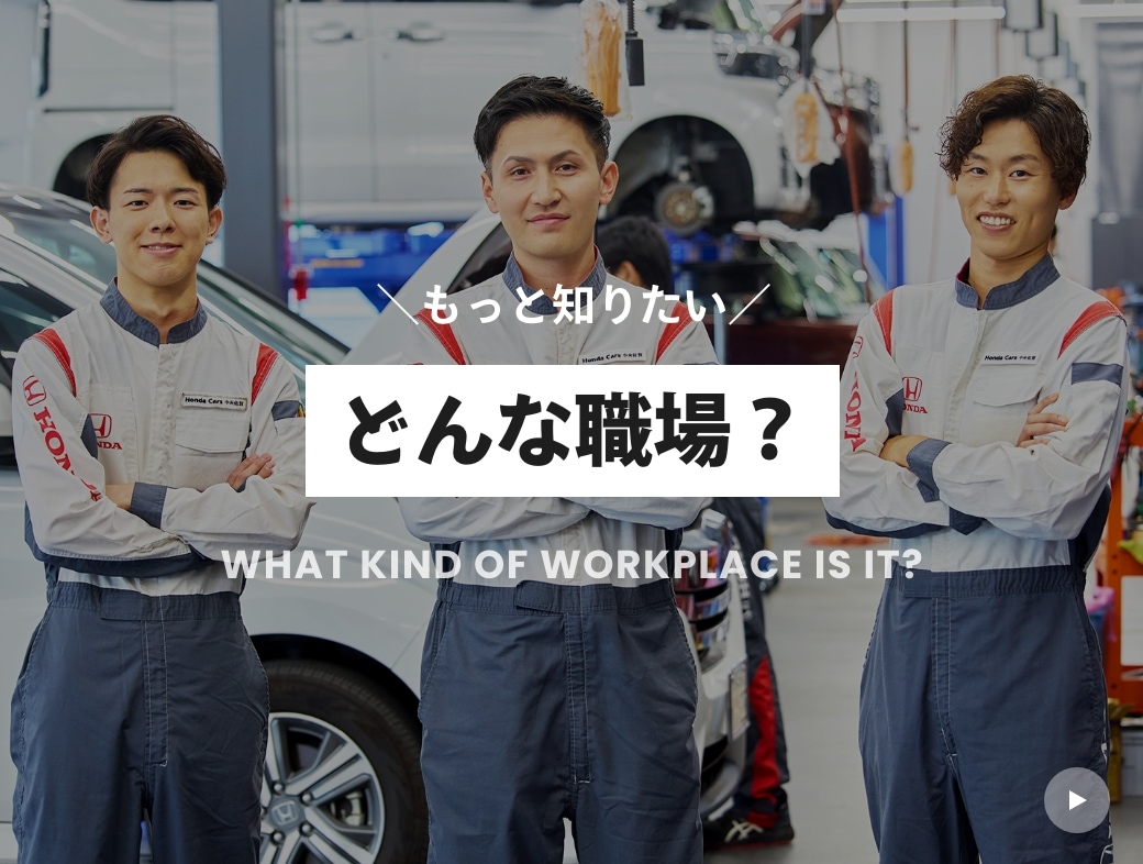 どんな職場？